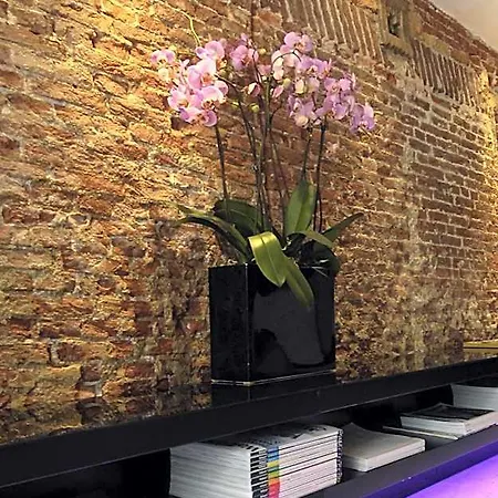 Boutique 招待所 3*